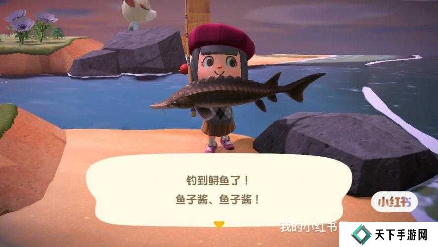 怪物猎人崛起旗鱼钓取位置全攻略