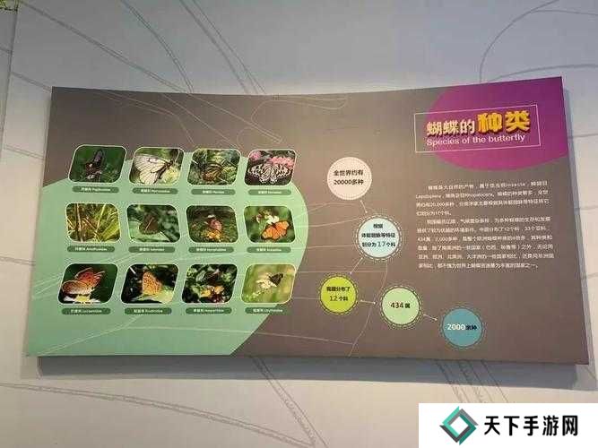 迷你世界蝴蝶位置详解，探索与冒险的奇妙之旅