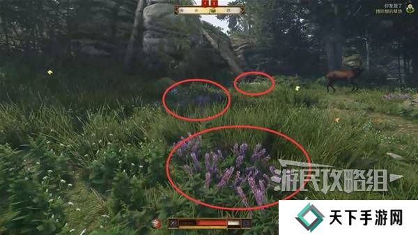 天国拯救2图文攻略大全   所有任务全流程攻略总汇图片29