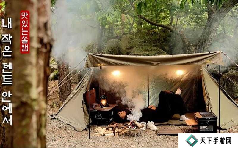 小动物之星篝火点燃深度解析，技巧、误区与隐藏逻辑