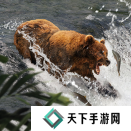 野兽领主新世界异兽图鉴