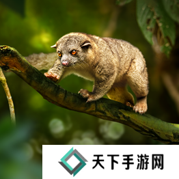 野兽领主新世界异兽图鉴