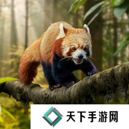 野兽领主新世界异兽图鉴