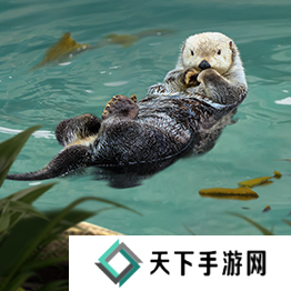 野兽领主新世界异兽图鉴