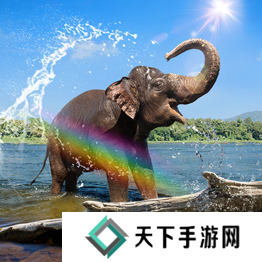 野兽领主新世界异兽图鉴