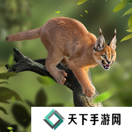 野兽领主新世界异兽图鉴