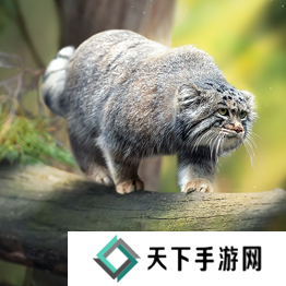 野兽领主新世界异兽图鉴