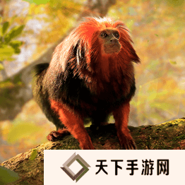 野兽领主新世界异兽图鉴