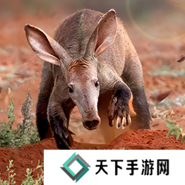 野兽领主新世界异兽图鉴