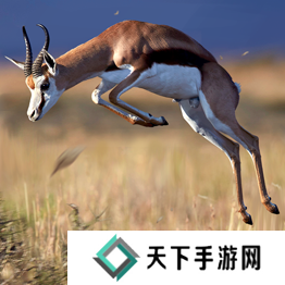 野兽领主新世界异兽图鉴