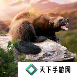 野兽领主新世界异兽图鉴