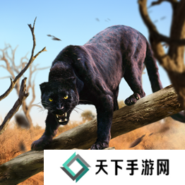 野兽领主新世界异兽图鉴