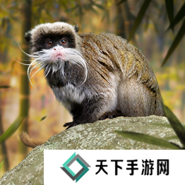 野兽领主新世界异兽图鉴