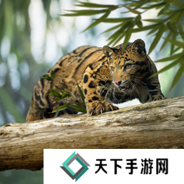 野兽领主新世界异兽图鉴