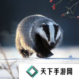 野兽领主新世界异兽图鉴