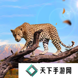 野兽领主新世界异兽图鉴