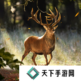 野兽领主新世界异兽图鉴