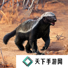 野兽领主新世界异兽图鉴