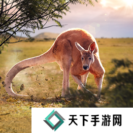 野兽领主新世界异兽图鉴