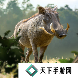 野兽领主新世界异兽图鉴