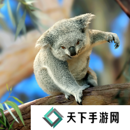 野兽领主新世界异兽图鉴