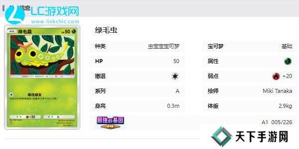 宝可梦TCG Pocket卡牌图鉴