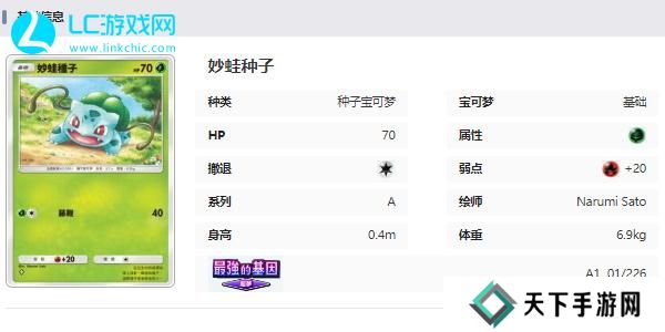 宝可梦TCG Pocket卡牌图鉴